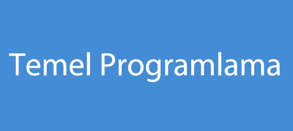 Temel Programlama Eğitimi